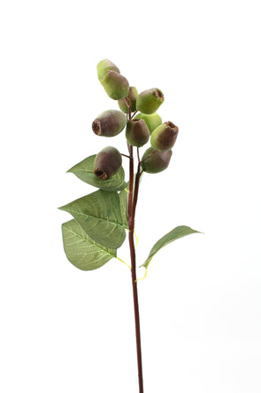 Gum Nut Artificial Flower Nut Spray - Green Brown 61cm