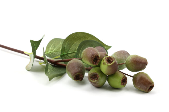 Gum Nut Artificial Flower Nut Spray - Green Brown 61cm