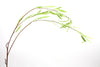 Willow Leaves Spray Green 128cm