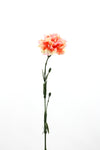 Carnation Artificial Flower - Cream Red 61cm