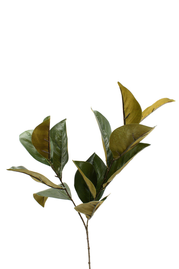 Magnolia Leaf Spray Green Brown 76cm