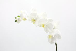 white real touch orchid stem