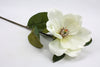 Magnolia Stem Artificial Flower Cream 66cm