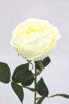 Rose David Austin Early Bloom Artificial Flower - White Real Touch 69cm