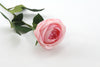 Pink real touch David Austen earlyh bloom Rose artificial flower stem