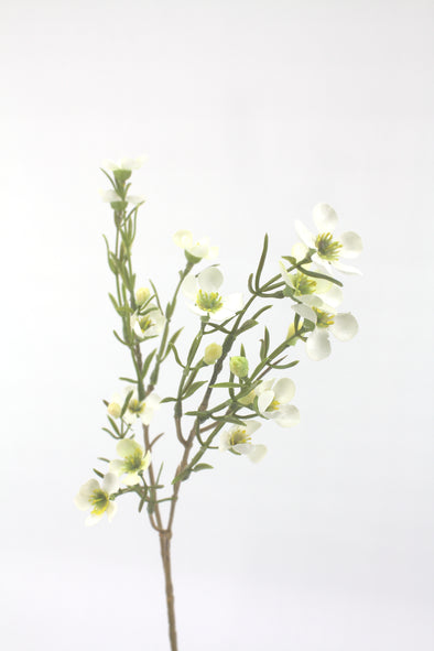 Artificial Geraldton Wax Flower Stem