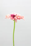Gerbera Artificial Flower - Pink 31cm