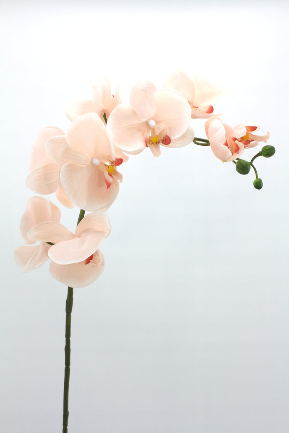 Phalaenopsis Orchid Spray Medium Real Touch Artificial Flower Dusty Pink 80cm