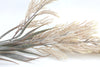 Plume Grass Artificial Flower Spray - Dusty Pink 88cm
