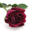 Rose Stem Half Bloom Burgundy 54cm Real Touch