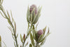 Protea Bud Artificial Flower Spray - Burgundy 77cm