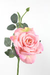 Quiannie Rose Pink 35cm