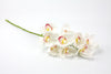 Orchid Cymbidium White Real Touch 70cm
