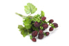 Artificial Raspberry Small Bunch Red 20cm