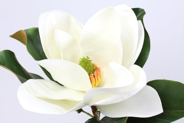 Magnolia Stem Artificial Flower Large Bloom White Real Touch 74cm