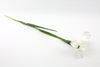 Iris White 69cm