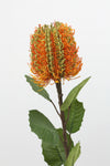 Banksia Artificial Flower - Orange Green 56cm