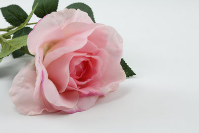 Rose Full Bloom Pink 69cm Real Touch