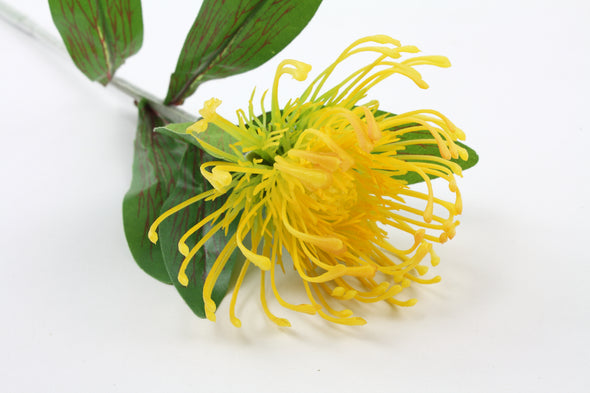 Pincushion Yellow 72cm