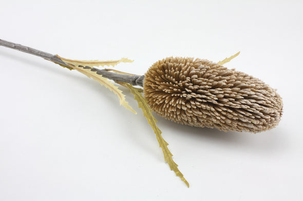 Banksia Speciosa Artificial Flower - Natural Brown 71cm