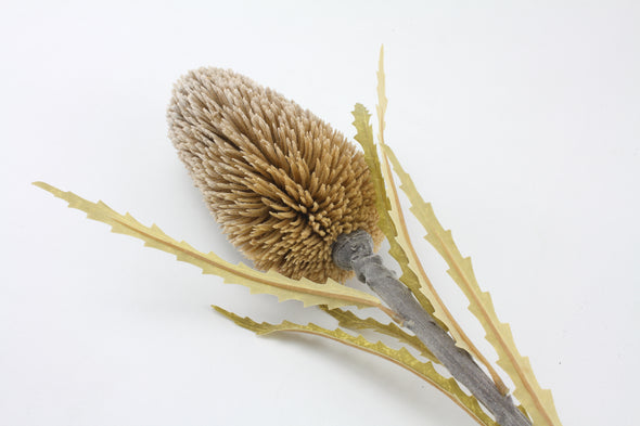 Banksia Speciosa Artificial Flower - Natural Brown 71cm