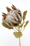 Artificial Protea Flower Stem