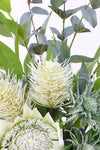 Cream Green Native Protea, Banksia and Gumnut Artificial Flower Arrangement