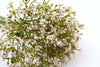 Baby's Breath (Gypsophila) Artificial Flower Bunch - Pink 26cm
