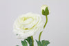 Ranunculus Spray White 36cm