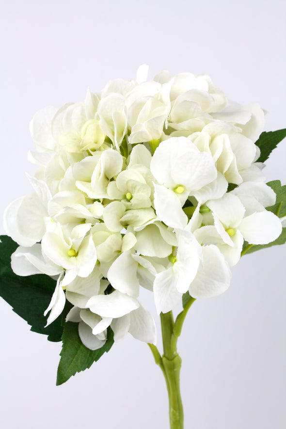 Hydrangea Stem White 49cm