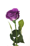 Rose Half Bloom Purple 55cm Real Touch