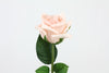 Rose Lola Real Touch Artificial Flower - Soft Pink 46cm