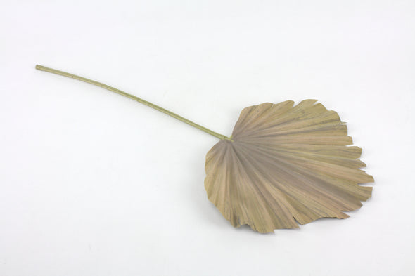 Palm Fan Artificial Leaf 56cm
