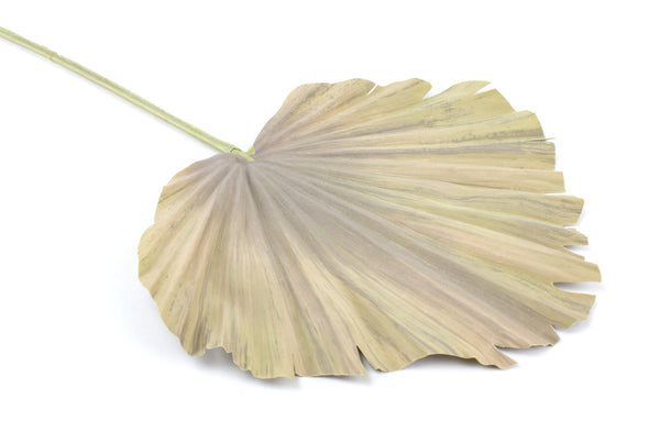 Palm Fan Artificial Leaf 56cm