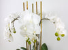 White Phalaenopsis Orchid x5 Artificial Flower Arrangement In Blue & White Dynasty Pot - Real Touch