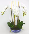 White Phalaenopsis Orchid x5 Artificial Flower Arrangement In Blue & White Dynasty Pot - Real Touch