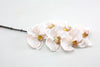 Phalaenopsis Orchid Spray  Luxe Real Touch White Latte 86cm
