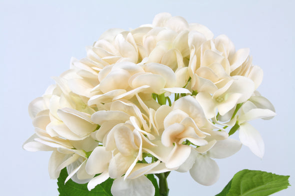 Hydrangea Real Touch Artificial Flower Stem - Ivory 47cm