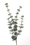 Eucalyptus Silver Dollar Native Artificial Flower Foliage Small - Dark Green 60cm