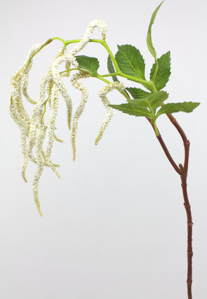 Amaranthus Hanging Spray White 88cm