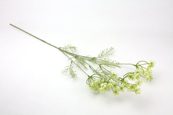Queen Anne Lace (Field Flower) Green White 76cm
